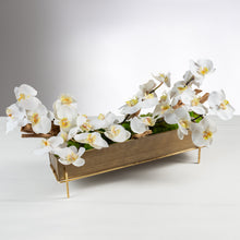 Load image into Gallery viewer, Driftwood Orchid item # 8204