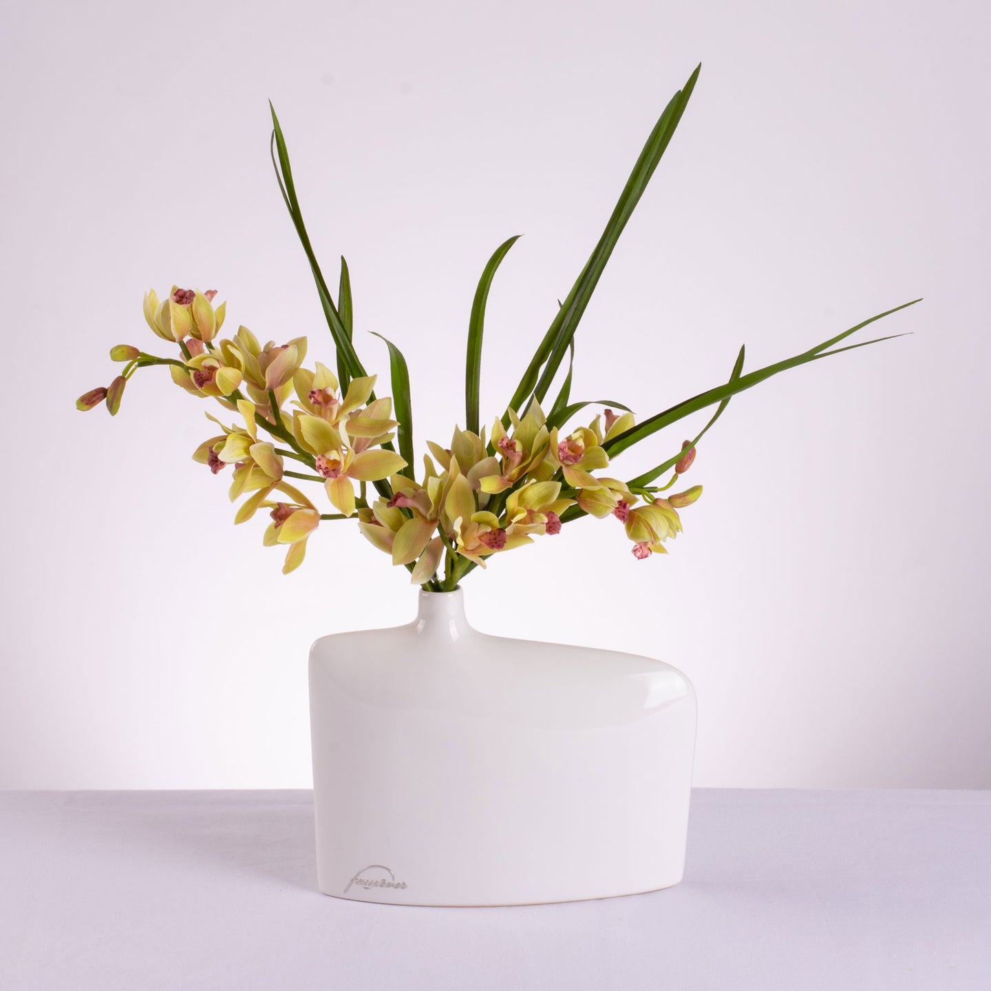 Alba Orchid