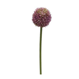 Allium Lavender 21.5"