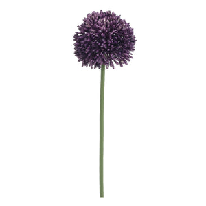 Allium Violet 17.5"