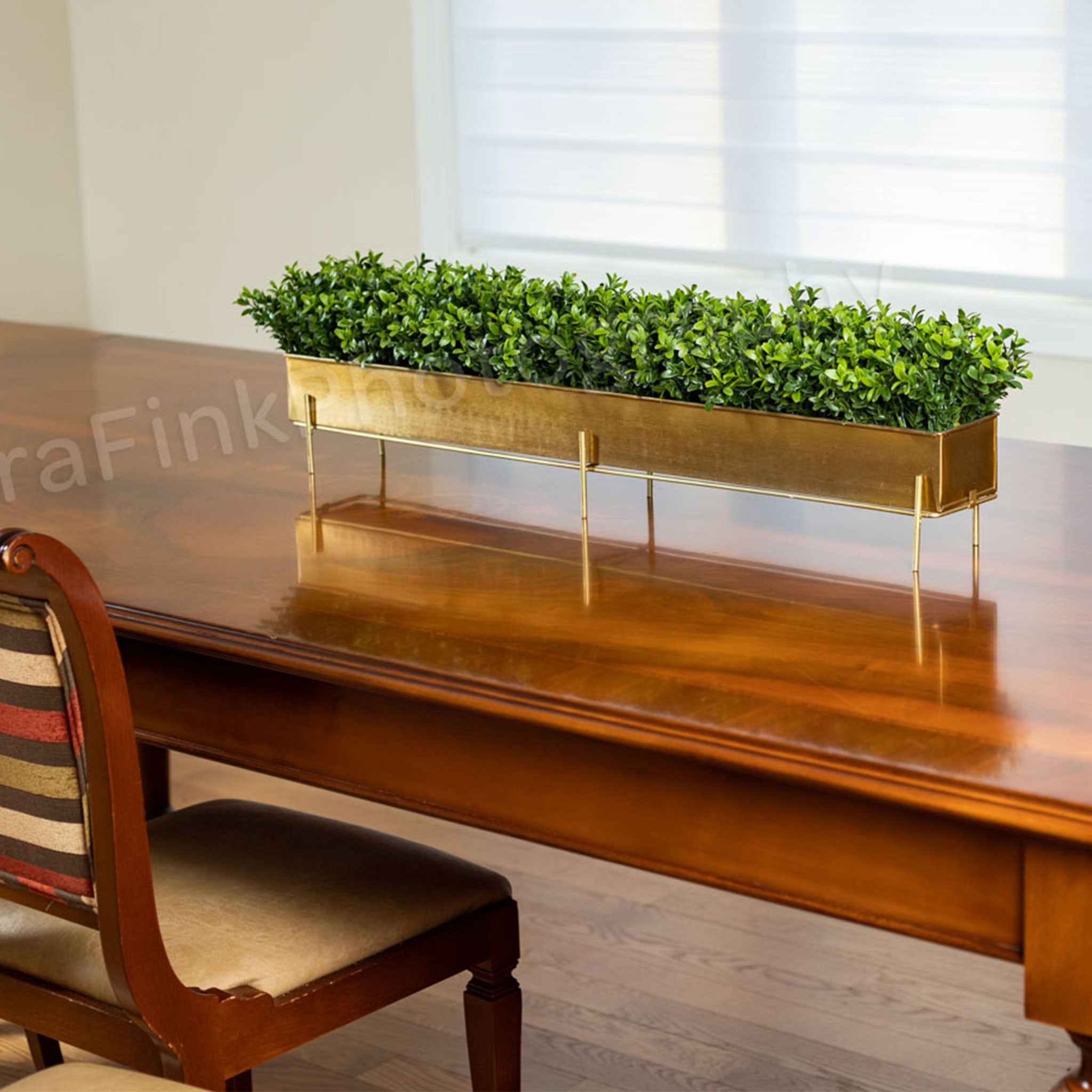 Grande Chic Boxwood