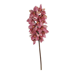 Cymbidium orchid OH 41.5"
