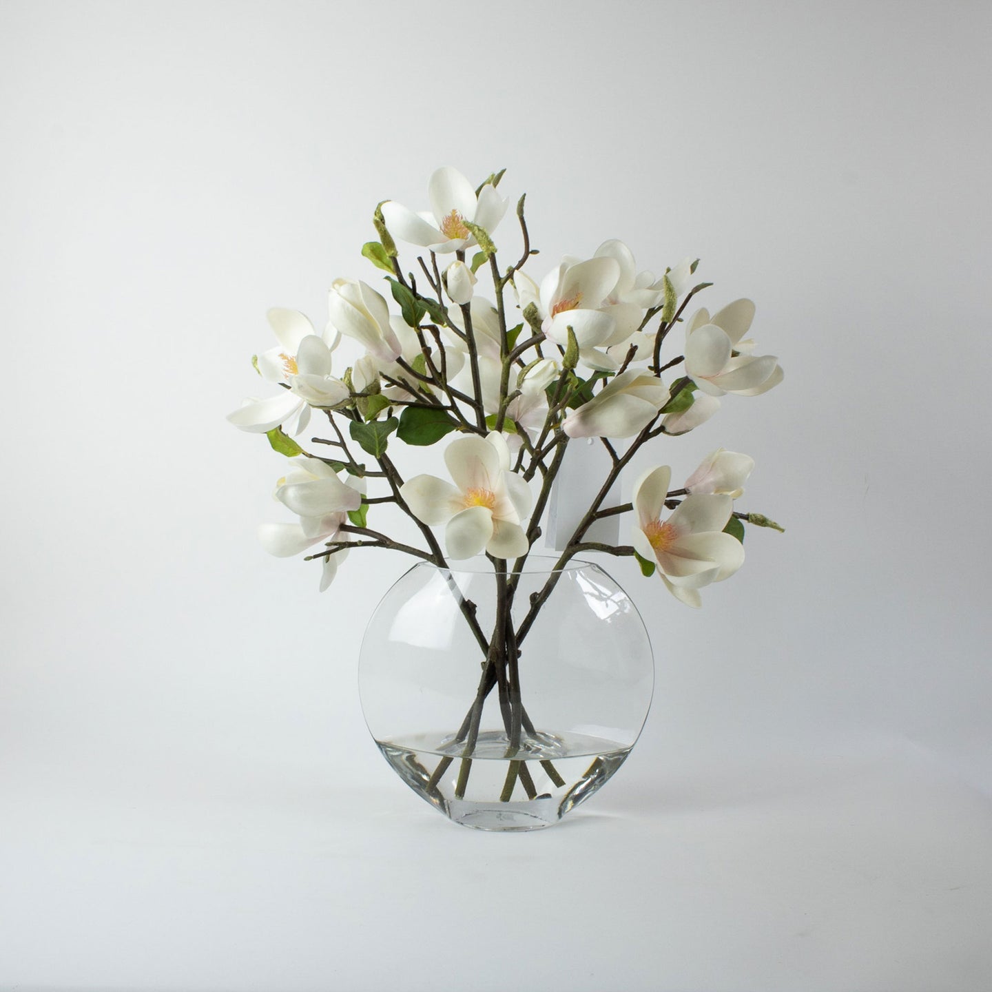 Magnolia in Glass , small