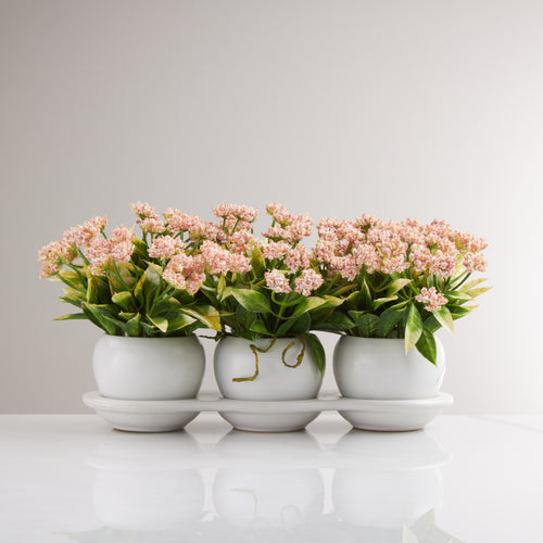 Triplet Pot with Mini Pom Pom Flowers-Soft Pink