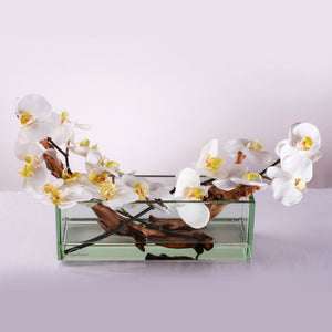 Driftwood Orchid 12"