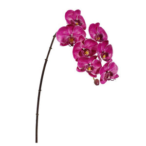 Orchid phalaenopsis fuschia 33,5" x 7
