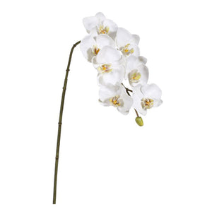 Orchid phalaenopsis white 33.5" x 7