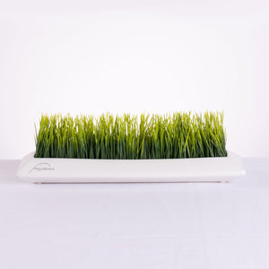 Pine Grass IK