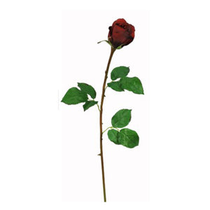 Rose Dutches Bud Red 19.5"