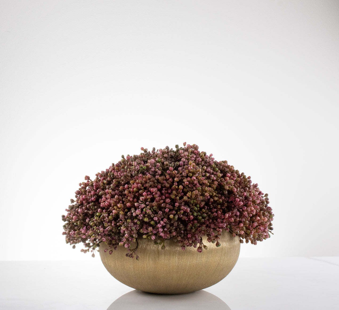 Stonecrop in Gold Bowl