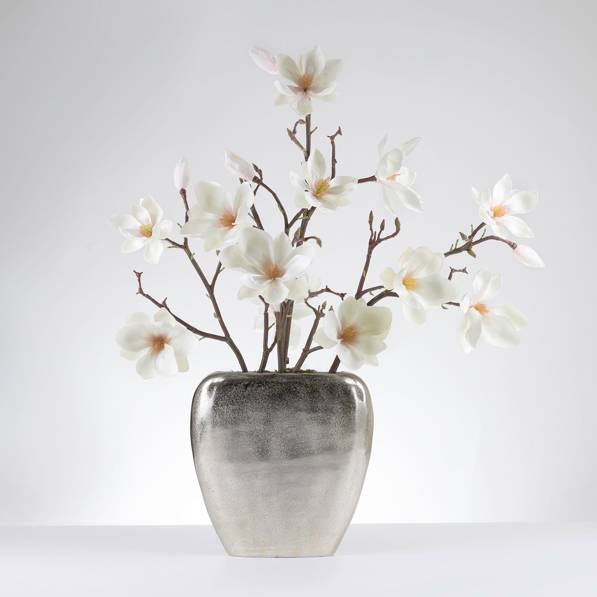 Gracious Magnolias -Champagne