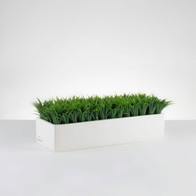 Load image into Gallery viewer, Urban Grass  Item # 822