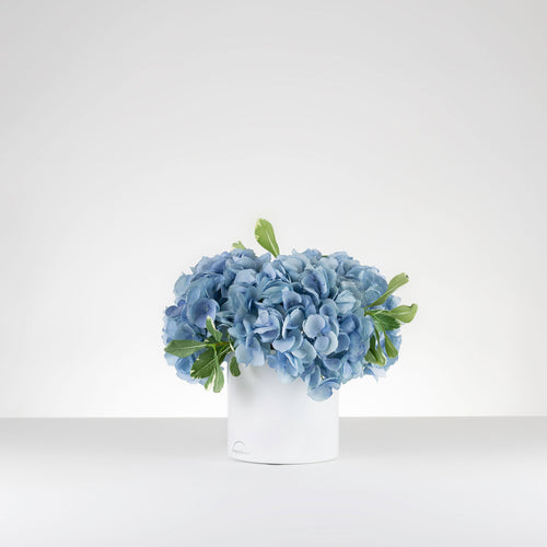 Hydrangea Triplet-Cornflower Blue  Item # 827