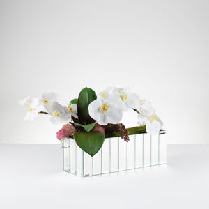 Bevel Orchid- White   Item # 828