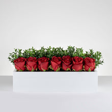 Load image into Gallery viewer, Balcony Garden Rose / Deep Red                                                                        Item # 831