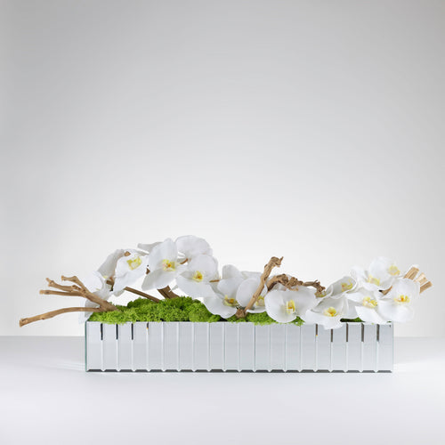 Driftwood Orchid- White   Item # 834